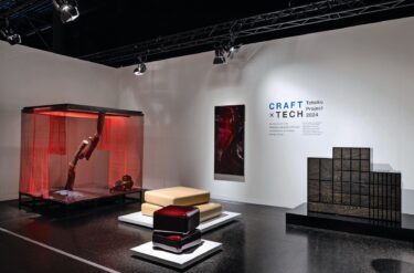 1 Die «Best Curio Presentation» ging an die japanische Galerie Craft X Tech.